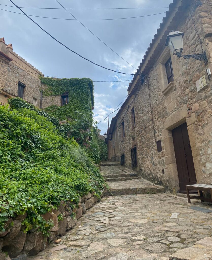 tossa